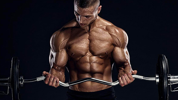 Build Massive Forearms & Herculean Grip Strength — Advanced Human  Performance Official Website