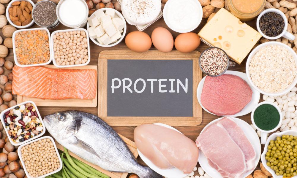 Protein: Importance and Why Your Body Needs It 